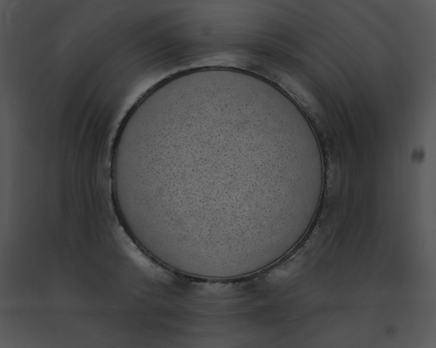 X0000091560800200708311414