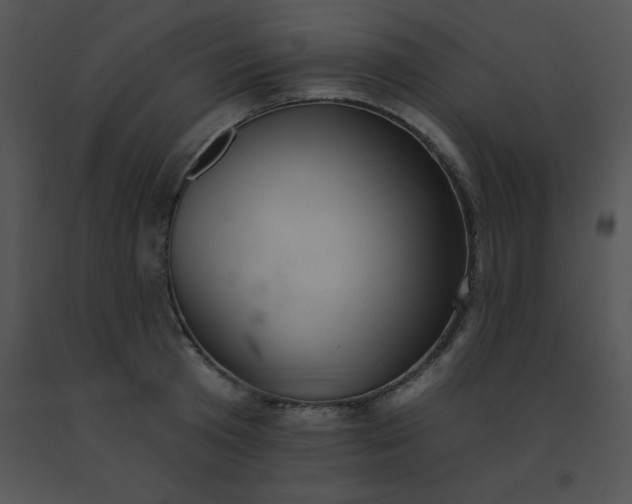 X0000091560801200708311414