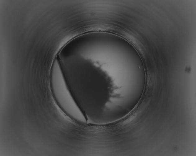 X0000091560802200708311414