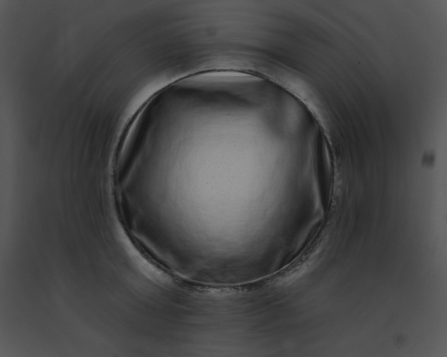 X0000091560803200708311414