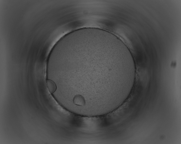 X0000091560804200708311414