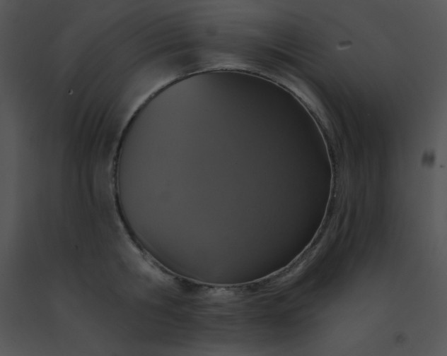 X0000091560806200708311414