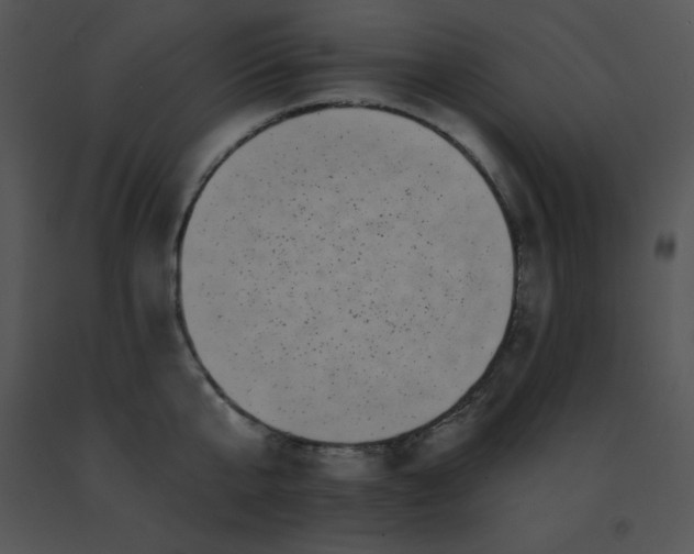 X0000091560807200708311414