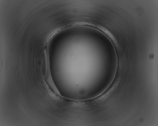 X0000091560809200708311414