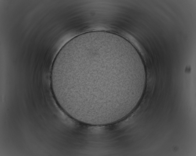 X0000091560810200708311414