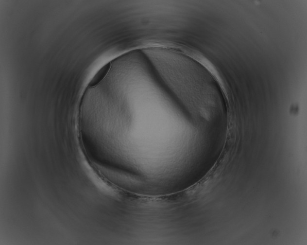 X0000091560811200708311414