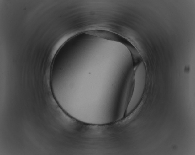 X0000091560812200708311413