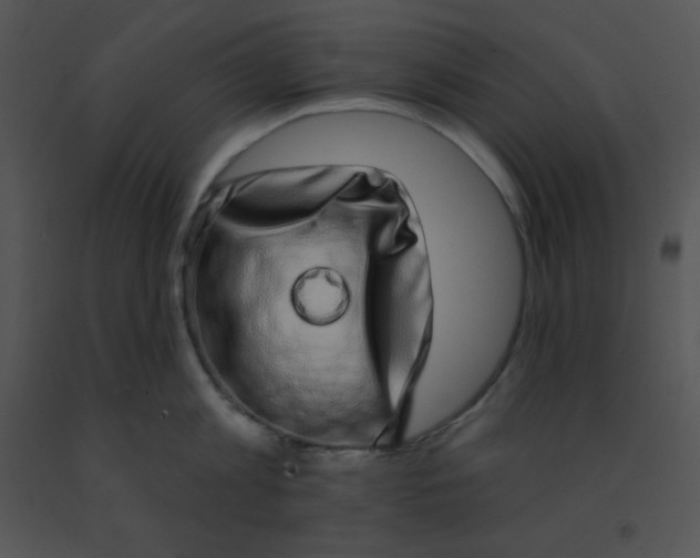 X0000091560813200708311413