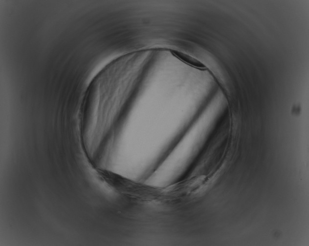 X0000091560814200708311413