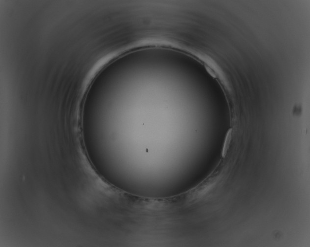 X0000091560815200708311413