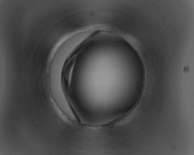 X0000091560816200708311413