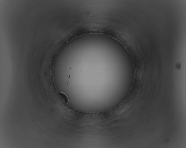 X0000091560817200708311413