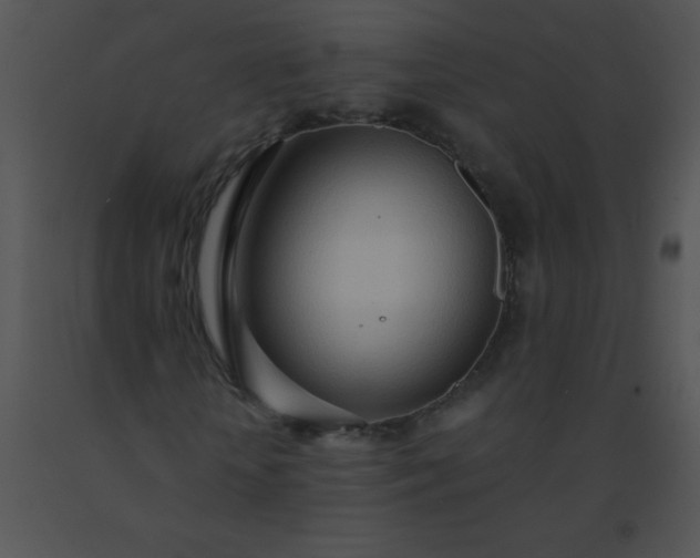 X0000091560818200708311413