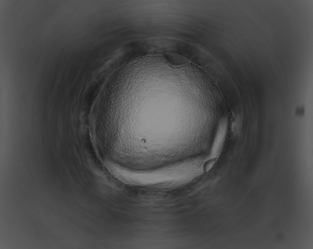 X0000091560819200708311413