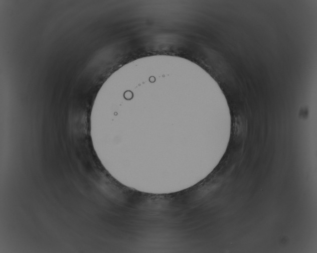 X0000091560820200708311413