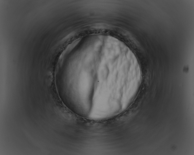 X0000091560821200708311413