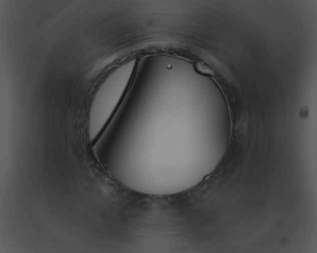 X0000091560822200708311413