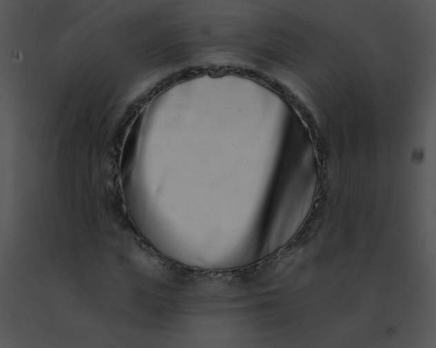 X0000091560823200708311413