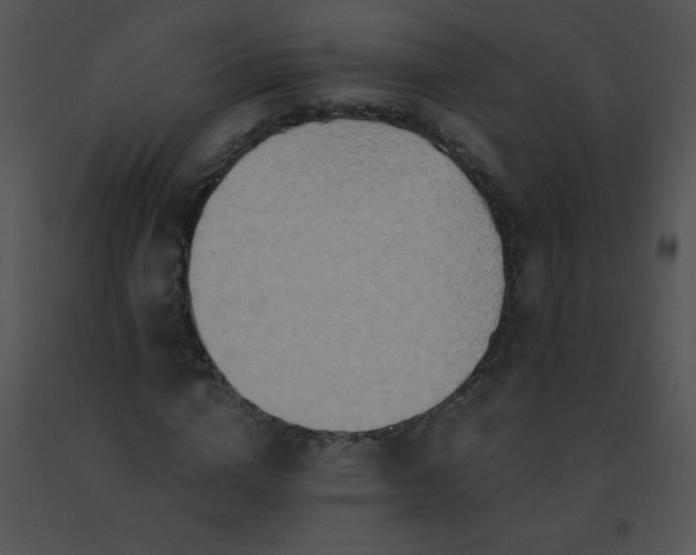 X0000091560824200708311413