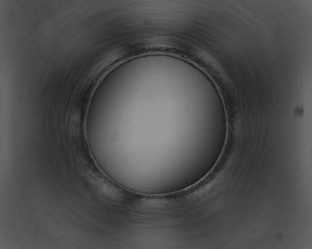 X0000091560825200708311413