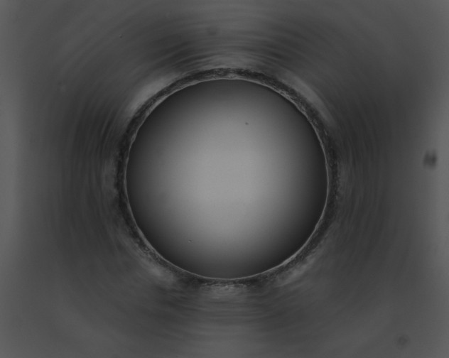 X0000091560826200708311413