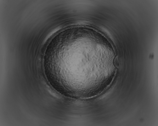 X0000091560827200708311413