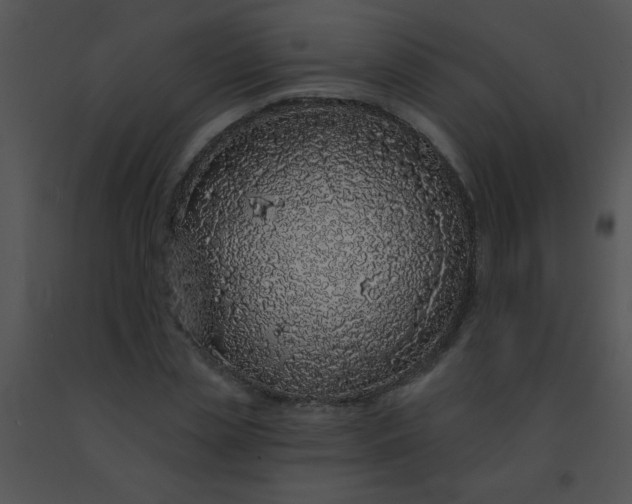 X0000091560829200708311413