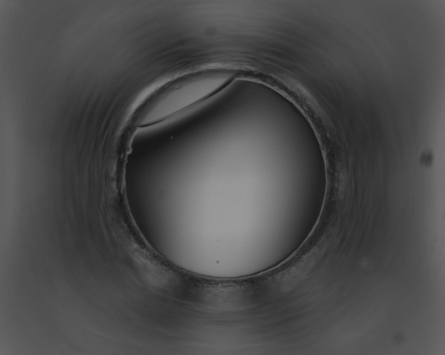 X0000091560830200708311413