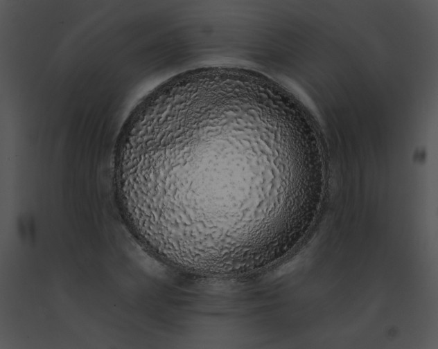 X0000091560831200708311413