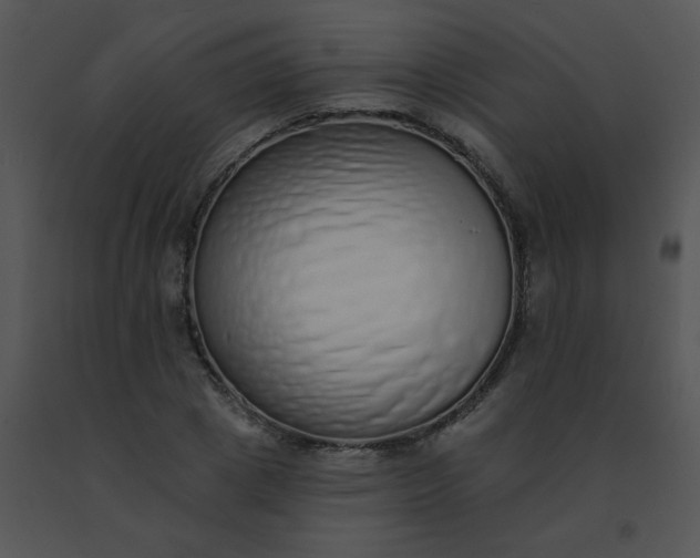 X0000091560833200708311413