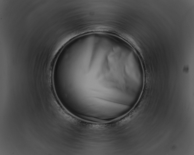 X0000091560835200708311413