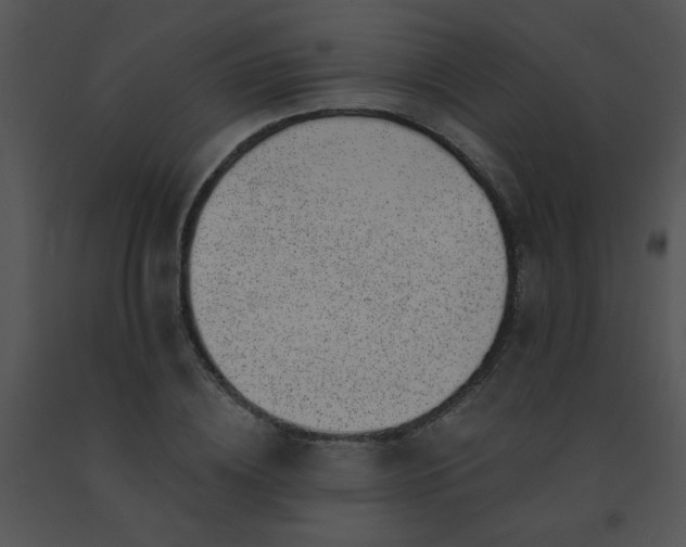 X0000091560836200708311413