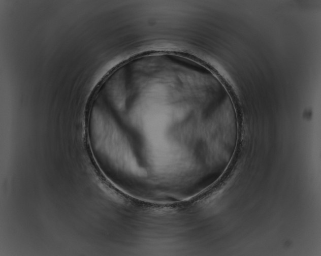 X0000091560837200708311413