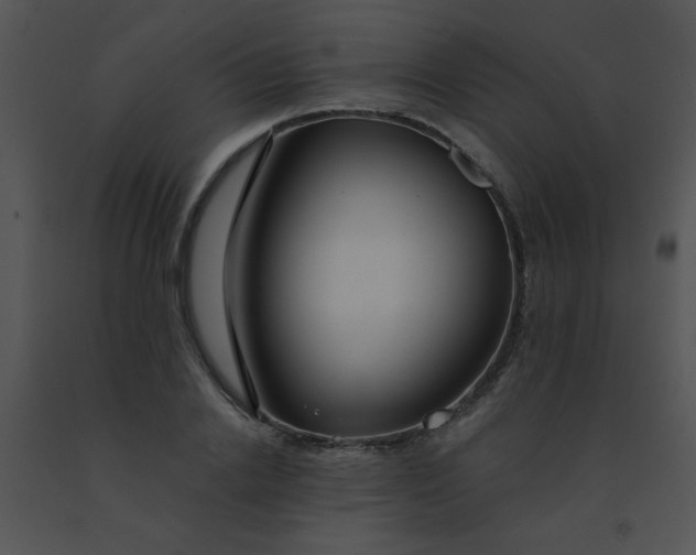 X0000091560838200708311413