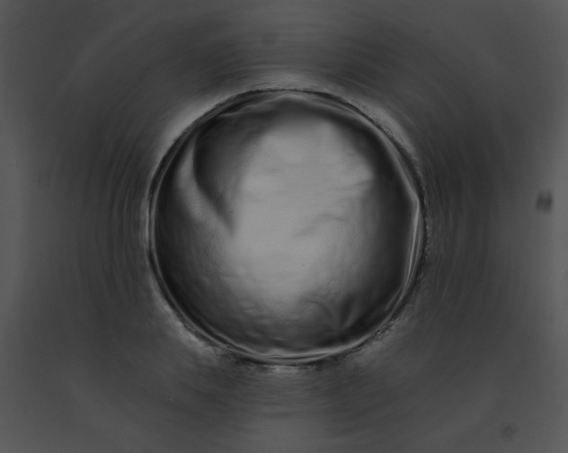 X0000091560839200708311413