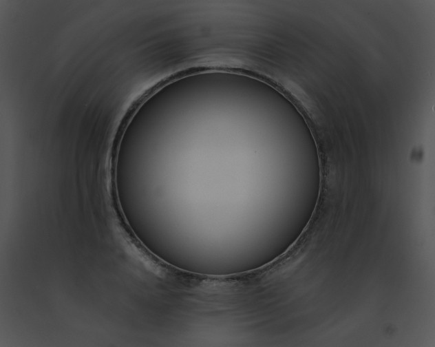 X0000091560840200708311413