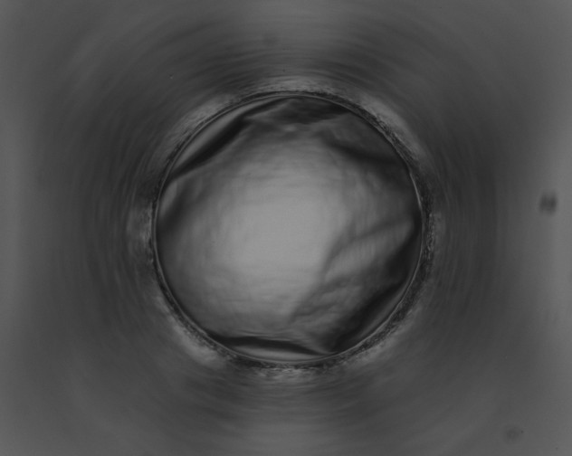 X0000091560841200708311413