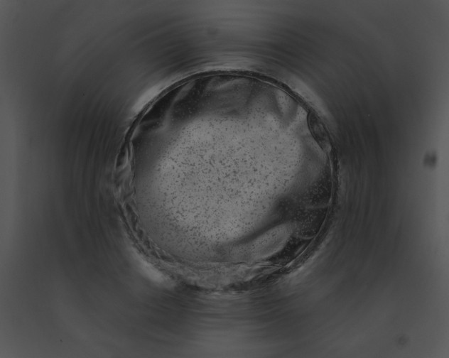 X0000091560842200708311413