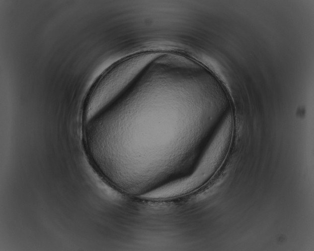 X0000091560843200708311413