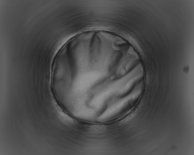 X0000091560844200708311413