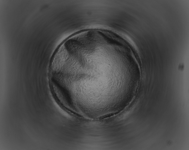 X0000091560847200708311413