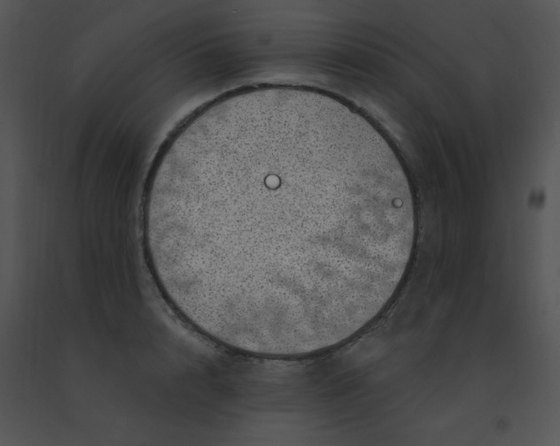 X0000091560848200708311413