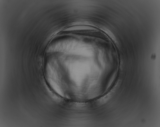 X0000091560849200708311413