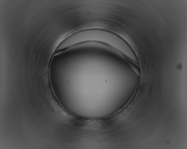 X0000091560850200708311413