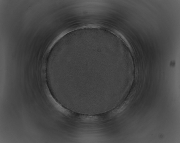 X0000091560851200708311413