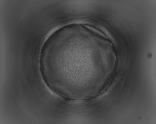 X0000091560853200708311413