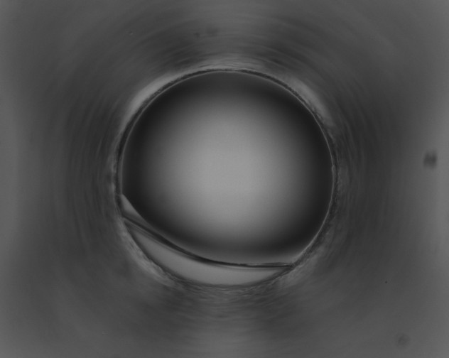 X0000091560854200708311413