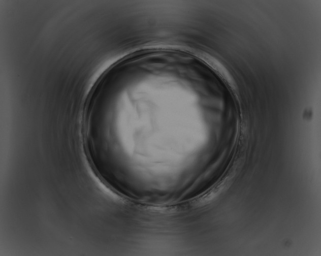 X0000091560855200708311413