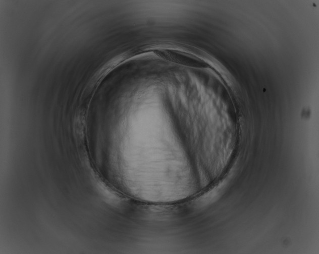 X0000091560857200708311413