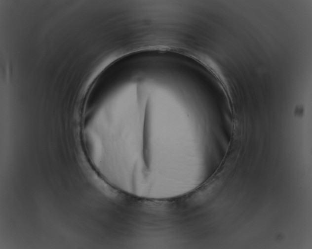 X0000091560859200708311413